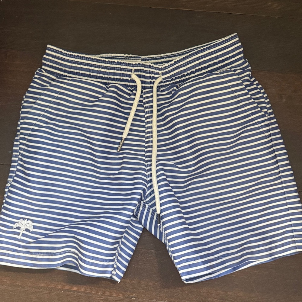 OAS Blue and White Striped Swim Shorts